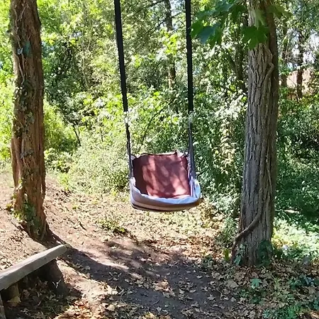 Luna Kuca- Devojacki Bunar Casa vacanze *